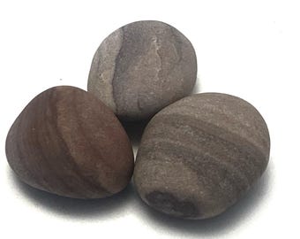 Può includere: Tre pietre lisce e arrotondate nei toni del marrone e del grigio. Le pietre hanno un aspetto naturale e organico con striature e variazioni di colore visibili. Le pietre sono disposte su una superficie bianca.