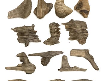 Sea Driftwood Pieces: 14 Small DIY Craft Supplies (2.7-5.5'')