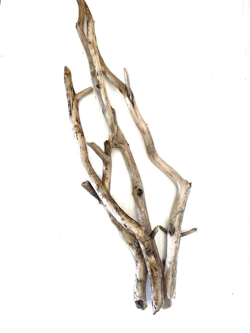 Branches décoratives en bois flotté 51,5-65 cm 20,2 25,5 po