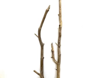 Peut inclure: Deux branches de bois flotté naturel, l'une incurvée et l'autre droite, de couleur brun clair et de texture rugueuse.