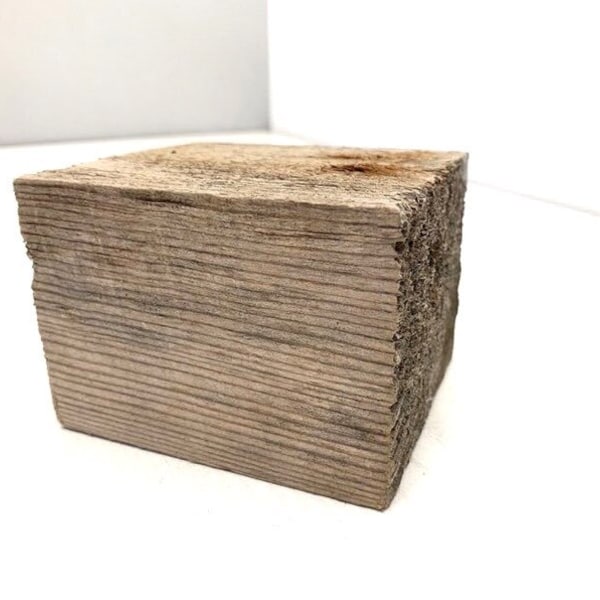 Bloc de bois flotté unique de 3,9 po. (10 cm). Bois flotté pour une variété d'artisanat et de décoration. Bois flotté DIY