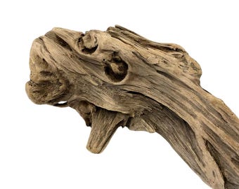 Textured Driftwood Sculpture: Natural Aquarium Terrarium Decor (18.8&quot;)