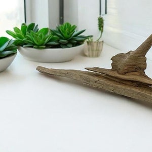 Unique Driftwood Sculpture (18.8&#39;&#39;) - Natural Coastal Decor