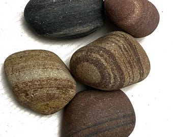 Può includere: Cinque pietre lisce e arrotondate nei toni del grigio, marrone e marrone-rossastro. Le pietre presentano motivi e texture naturali, con linee e variazioni di colore visibili. Le pietre sono disposte su una superficie bianca.