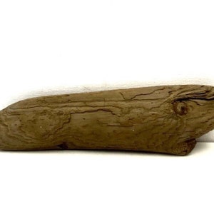 Coastal Driftwood Piece: 11.8&#39;&#39; Beach Art, DIY Decor