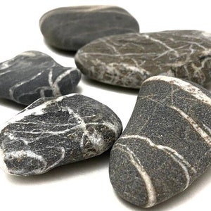Striped Beach Stones: Unique Aquarium Decor, Baltic Sea Pebbles