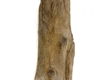Natural Driftwood Piece 13.7&quot;: Rustic Beach Decor, DIY Crafts