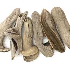 Baltic Sea Driftwood Pieces (5.9-6.7&quot;): Beach Home Decor, DIY Crafts