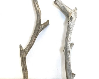 Drijfhouttakken: kustvaasvullers, stranddecor, (14,5-16,5 in)