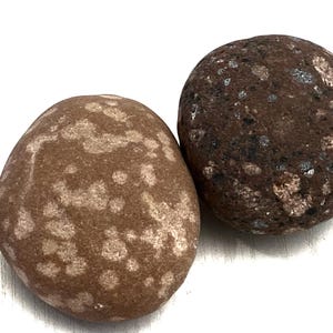 Baltic Sea Beach Stones: Aquarium & Garden Decor, 2 Unique Pebbles
