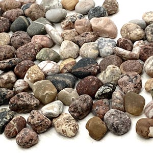 90 Small Beach Stones: Baltic Sea Aquarium Decor