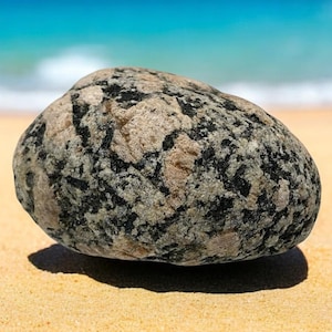 Baltic Sea Stone: Unique Aquarium & Garden Decor