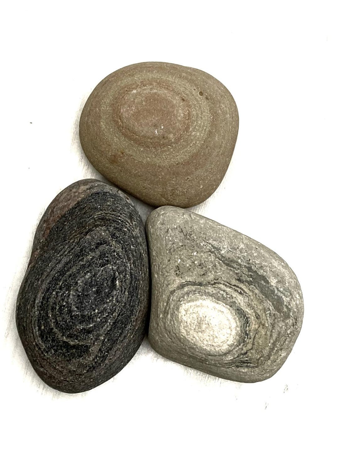 Striped Lightweight Rocks Unique Striped Beach Stones: Large Baltic Sea Rocks, Aquarium Decor - Etsy