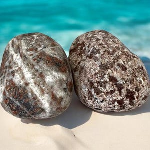Unique Patterned Beach Stones: Baltic Sea Aquarium Decor (2pc)
