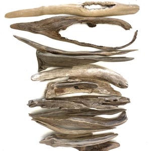 Weathered Baltic Driftwood: Rustic Coastal Decor, DIY Craft Supply (7.4-12.5&#39;&#39;)