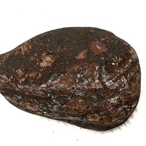 Baltic Sea Beach Stone: Large Aquarium Terrarium Rock, 3.1 inches