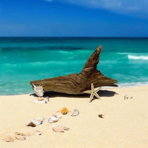 Unique 14&quot; Driftwood Piece: Rustic Home Decor, Aquarium & Terrarium Wood