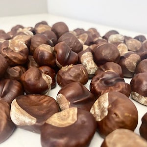 100 castañas auténticas, materiales para manualidades, productos ecológicos, decoración rústica para el hogar