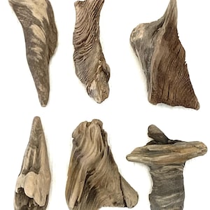 Baltic Sea Driftwood Pieces: DIY Craft Supplies (4.3 - 4.7&#39;&#39;)