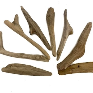 18 Baltic Sea Driftwood Pieces: Natural Beach Wood for Crafts