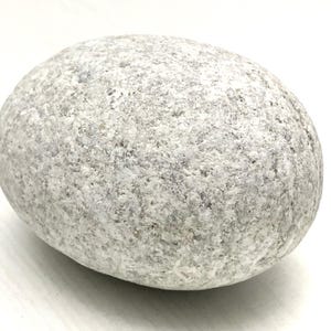 Large Baltic Sea Beach Rock: Aquarium Terrarium Decor Stone