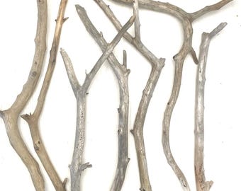 WANYI 250g 15cm Bois Flotté Branche Batonnet en Bois Naturel Morceaux de Branches pour Bricolage Artisanat Modélisme Décoration Intérieure