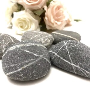 Striped Beach Stones: Unique Aquarium Decor, Craft Pebbles - Set of 5
