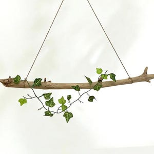 Driftwood Branch: Rustic Wall Hanging, Air Plant Holder (26.7'')