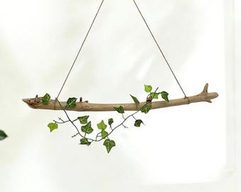 Driftwood Branch: Rustic Wall Hanging, Air Plant Holder (26.7'')