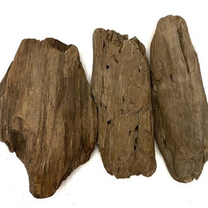 Baltic Sea Driftwood Pieces: Rustic Natural Coastal Decor, Craft Supplies