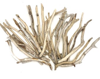 Natuurlijke decoratieve takken: knutselspullen aan de kust, rustiek decor (7-9 inch)