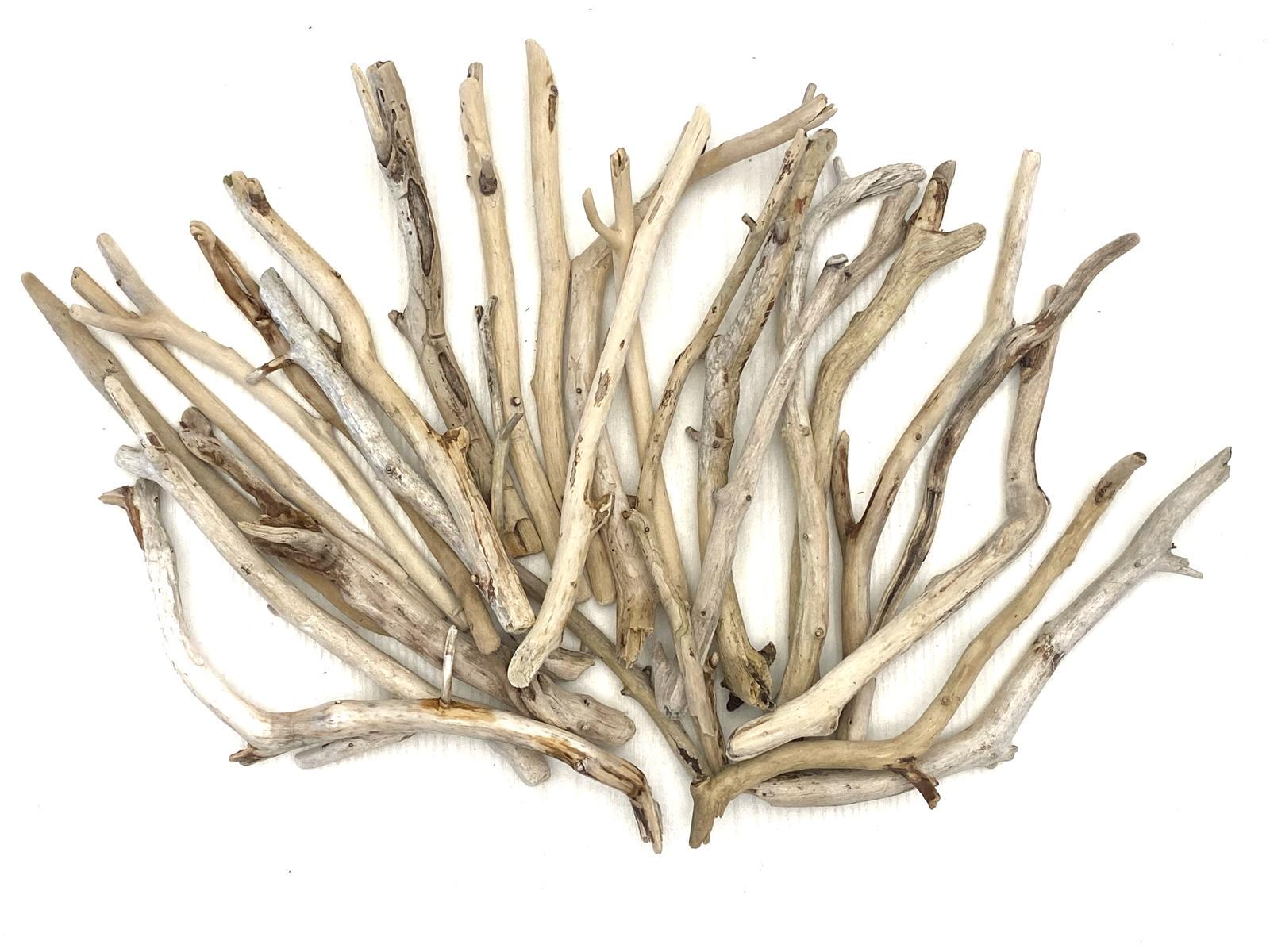 天然装飾枝：海岸の工芸品、素朴な装飾（7～9インチ） - Etsy 日本