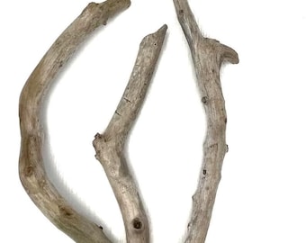 Peut inclure: Trois morceaux de bois flotté, chacun avec une forme et une texture uniques. Le bois flotté est de couleur brun clair et a un aspect naturel et vieilli.