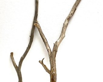 Driftwood Branches 25.9'' - 26.7'' (66 - 68 cm), Coastal Craft Decor