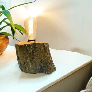 Vintage Edison Lamp: Rustic Driftwood Table Lamp