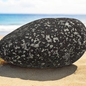 Large beach rocks, Beach stone, Aquarium decor, Unique beach stone, Terrarium Rock