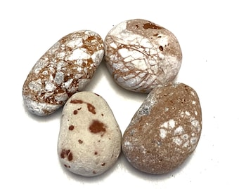 Può includere: Quattro pietre lisce e arrotondate con motivi superficiali distinti. Due pietre presentano una consistenza screpolata bianca e marrone simile a una ragnatela. Una pietra è beige chiaro con macchie marrone scuro. L'ultima è marrone tinta unita con macchioline bianche.