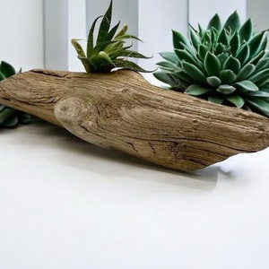 Rustic Driftwood Decor: Coastal Beach Art, DIY Craft Wood (11.4 inches)