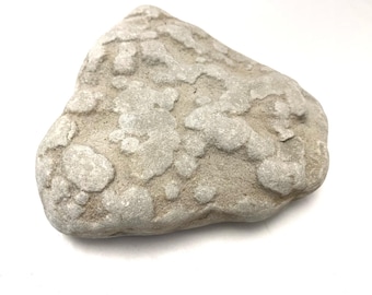 Può includere: Una roccia grigio chiaro, di forma irregolare, con una superficie strutturata. La roccia presenta una serie di formazioni arrotondate in rilievo, creando un motivo unico. La pietra è posta su uno sfondo bianco.