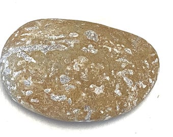 Può includere: Una pietra liscia di forma ovale, di colore marrone chiaro, con segni bianchi e grigi irregolari. La pietra ha un aspetto naturale e invecchiato, suggerendo che potrebbe essere un ciottolo di fiume o una pietra simile.