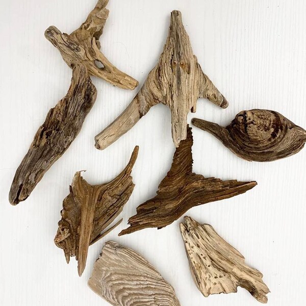 Driftwood for Crafts Etsy