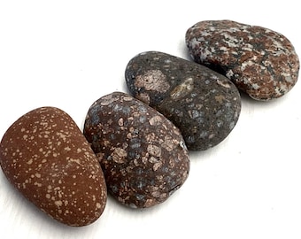 Può includere: Quattro pietre lisce di forma ovale, in tonalità marroni e grigie, sono disposte su una superficie bianca. Le pietre presentano motivi maculati e screziati, con variazioni di colore e consistenza, suggerendo formazioni naturali.