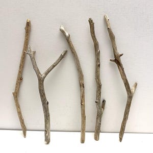 May include: Six natural driftwood branches of varying lengths and shapes, arranged horizontally on a white background.