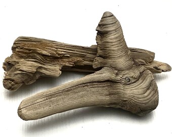 Unique Natural Driftwood Pieces: Beach Decor DIY Projects