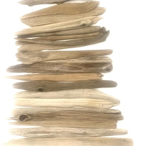 Könnte beinhalten: Eine Ansammlung von Treibholzstücken in verschiedenen Beige- und Brauntönen, vor einem weißen Hintergrund angeordnet. Die Holzstücke sind lang und schlank, mit natürlichen Texturen und Formen, ideal für Bastelarbeiten oder Dekoration.