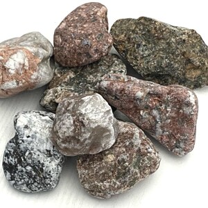 Baltic Sea Stones: Aquarium & Garden Decor, Craft Pebbles (Set of 8