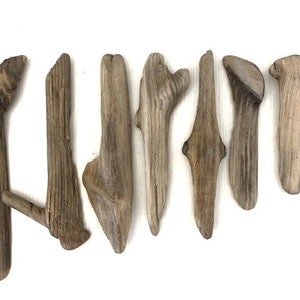 7 Baltic Sea Driftwood Pieces: Beach Craft Supplies (5.9 - 9.8&#39;&#39;)