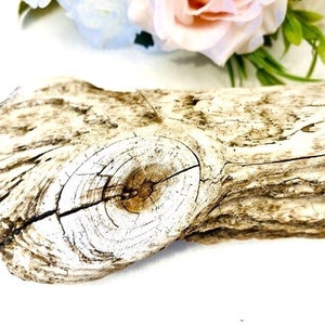 Unique Beach Driftwood Piece: Natural Coastal Decor (11.4&#39;&#39;)