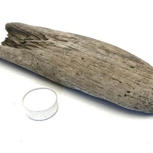 Rustic Driftwood Decor: Coastal Table Centerpiece (10.6 inch)