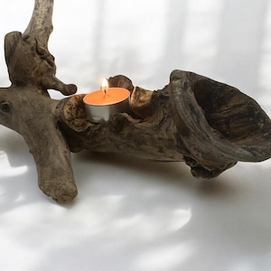 Beach Driftwood Decor: Natural Baltic Wood, Craft Supply (13.3&quot;)